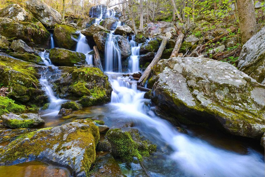 Picture 5 for Activity Explore: The Shenandoah Driving Tour