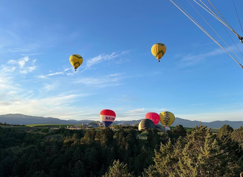 Picture 1 for Activity Segovia: Hot-air balloon ride with cava toast & picnic