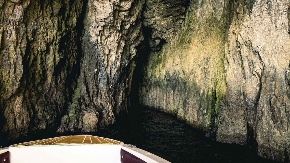 Picture 9 for Activity Syracuse: Ortigia Island and Sea Caves Boat Tour