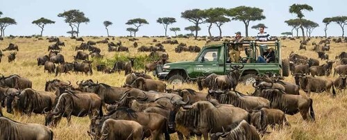 10 dages bryllupsrejse i Kenya med en firehjulstrækker Jeep