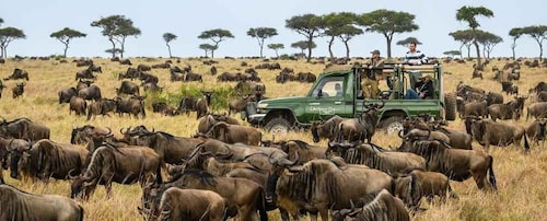 10 Tage Kenia Flitterwochen-Safari-Erlebnis mit einem 4x4 Jeep