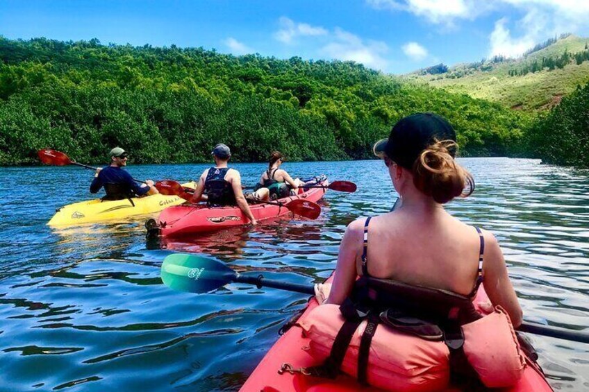 Kauai Adventure: Kayak & Hike to Secret Falls with Expert Guide