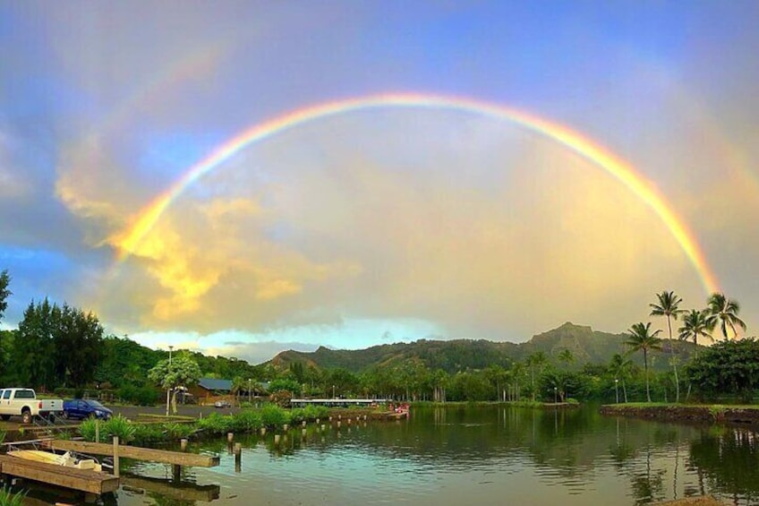 Wailua River and Secret Falls Kayak and Hiking Tour