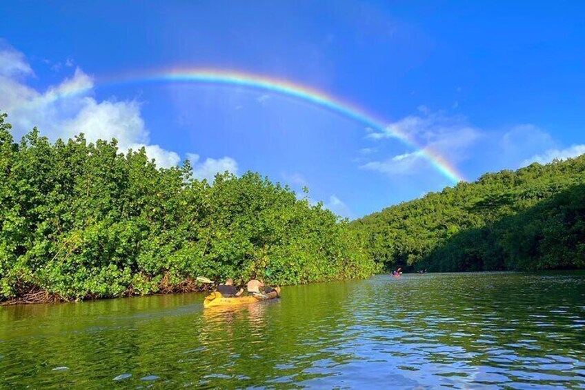 Wailua River and Secret Falls Kayak and Hiking Tour