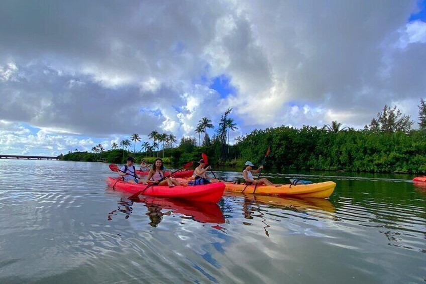 Wailua River and Secret Falls Kayak and Hiking Tour