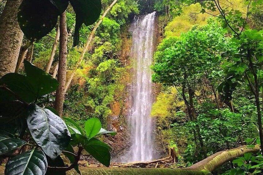 Wailua River and Secret Falls Kayak and Hiking Tour