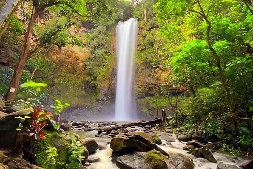 Wailua River and Secret Falls Kayak and Hiking Tour