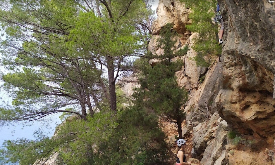 Picture 2 for Activity Valencia: Introduction to Sport Rock Climbing
