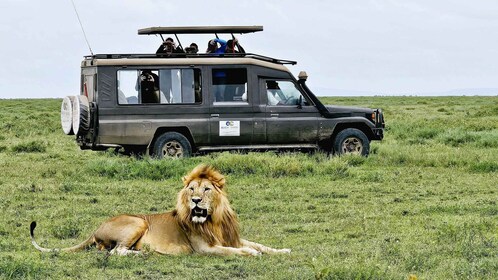 จากอารูชา: ซาฟารี Ngorongoro 4 วัน ทะเลสาบ Manyara และ Maasai