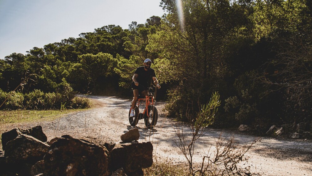 Picture 5 for Activity Santa Eulalia del Río: Private Guided E-Bike Tour