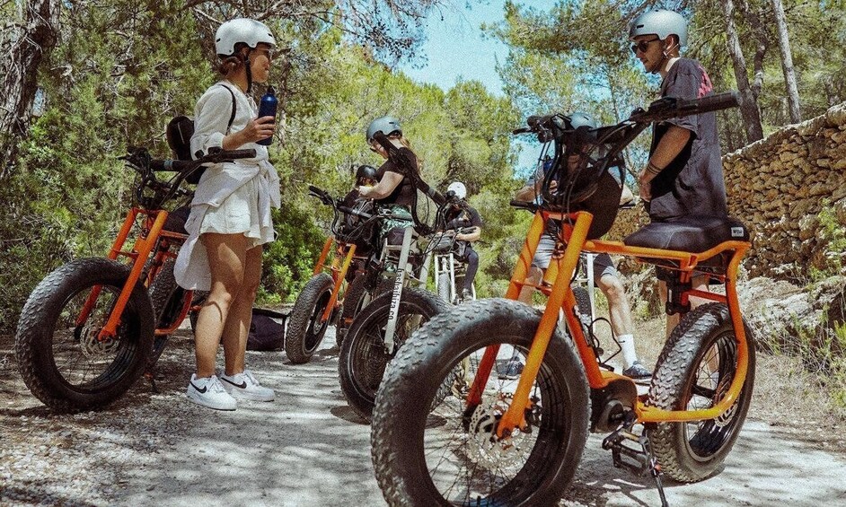 Picture 8 for Activity Santa Eulalia del Río: Private Guided E-Bike Tour