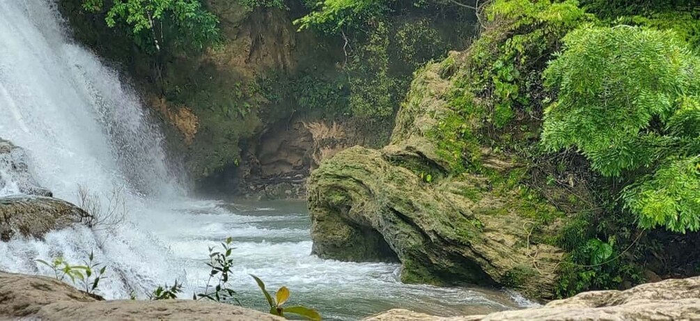 Picture 4 for Activity From Palenque: Palenque and Roberto Barrios Waterfalls Tour