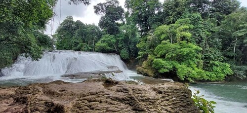 Desde Palenque: Excursión a Palenque y las Cascadas de Roberto Barrios