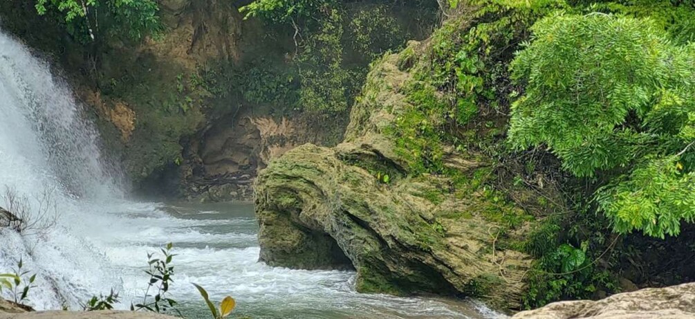 Picture 4 for Activity From Palenque: Palenque and Roberto Barrios Waterfalls Tour