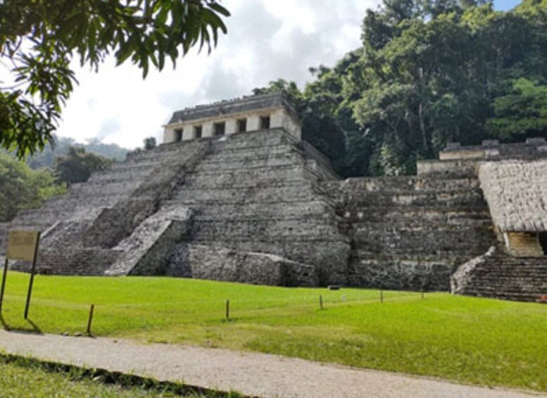 Picture 3 for Activity From Palenque: Palenque and Roberto Barrios Waterfalls Tour