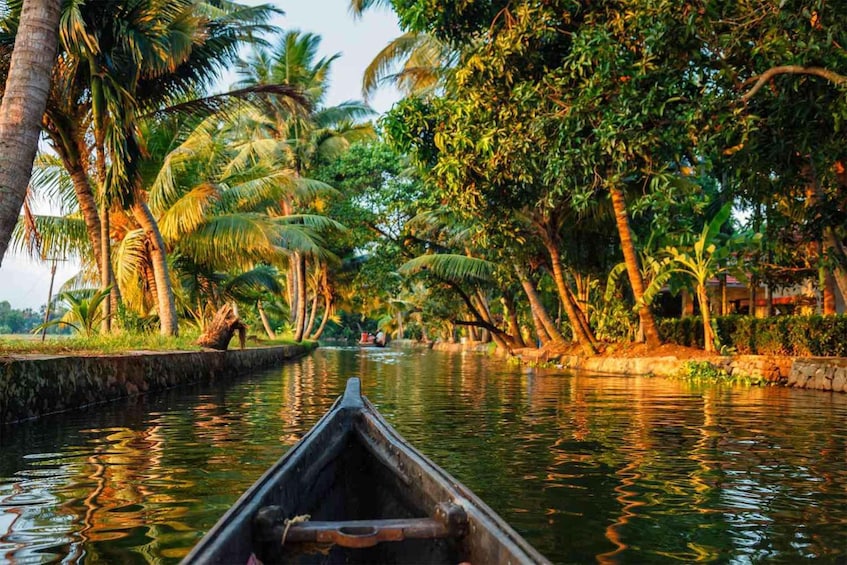 Alleppey Shikara boat ride