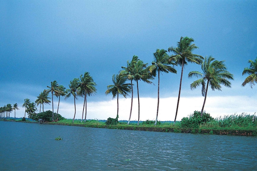 Picture 5 for Activity Alleppey Shikara boat ride