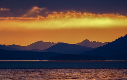 Victoria: Walbeobachtungstour bei Sonnenuntergang auf einem halb-überdachte...