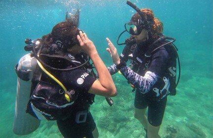 From Nilaveli: PADI Discover Scuba Diving