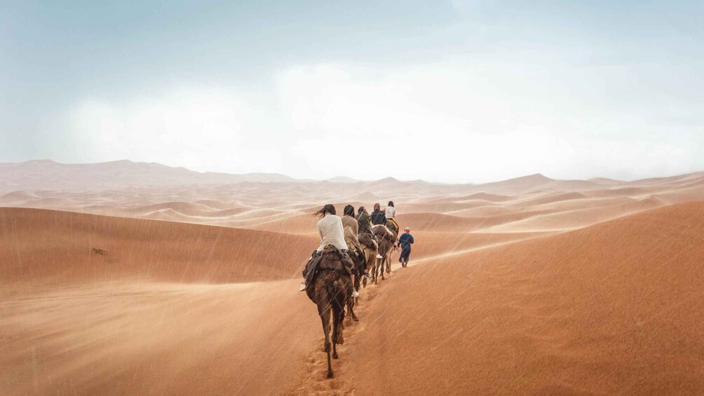 Picture 3 for Activity From Fes: 2 Days Sahara Tour With Camel Ride& Sandboarding