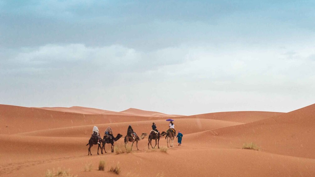 Picture 25 for Activity From Fes: 2 Days Sahara Tour With Camel Ride& Sandboarding