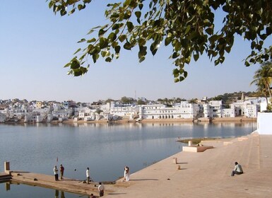 Von Jaipur aus: 3 Tage Jaipur Pushkar Tour