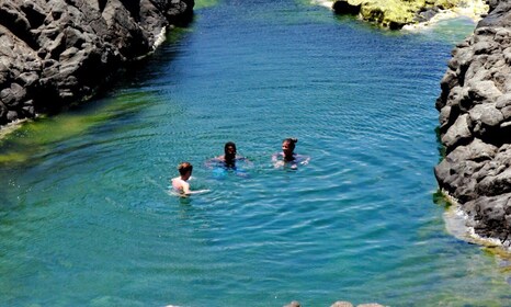 Sal: Salt Lake med alt inklusive, naturlige pools og Shark Bay