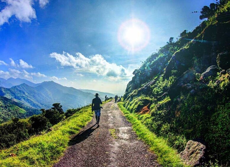 Picture 4 for Activity Nuwara Eliya to Knuckles: Epic Overnight Trekking