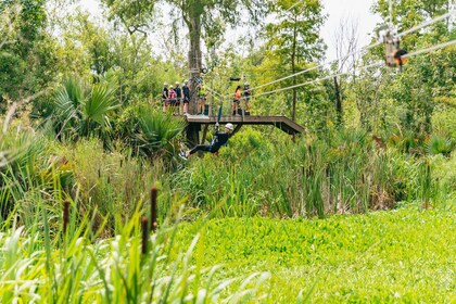 New Orleans: Swamp Zipline Tour