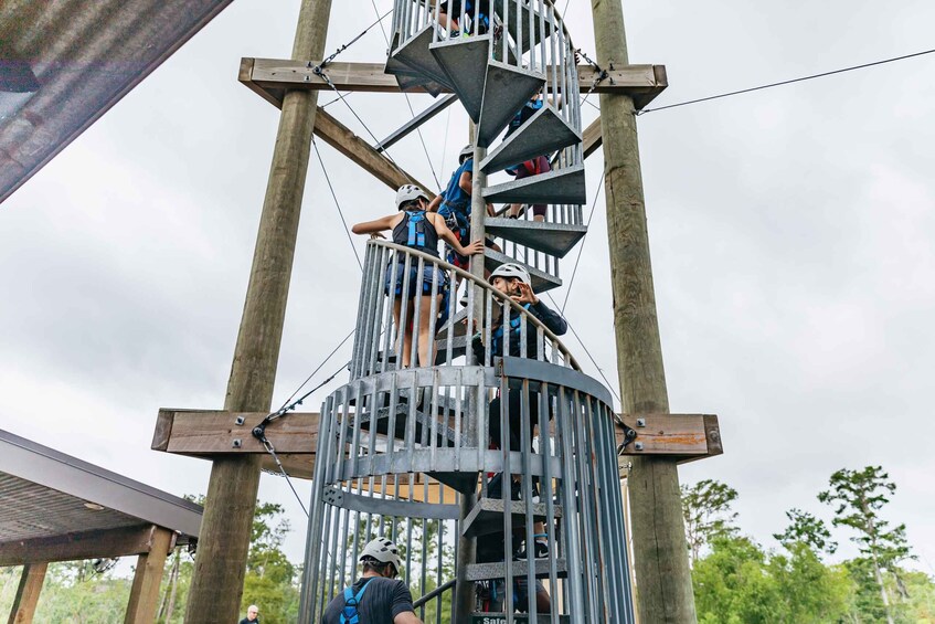 Picture 7 for Activity New Orleans: Swamp Zipline Tour