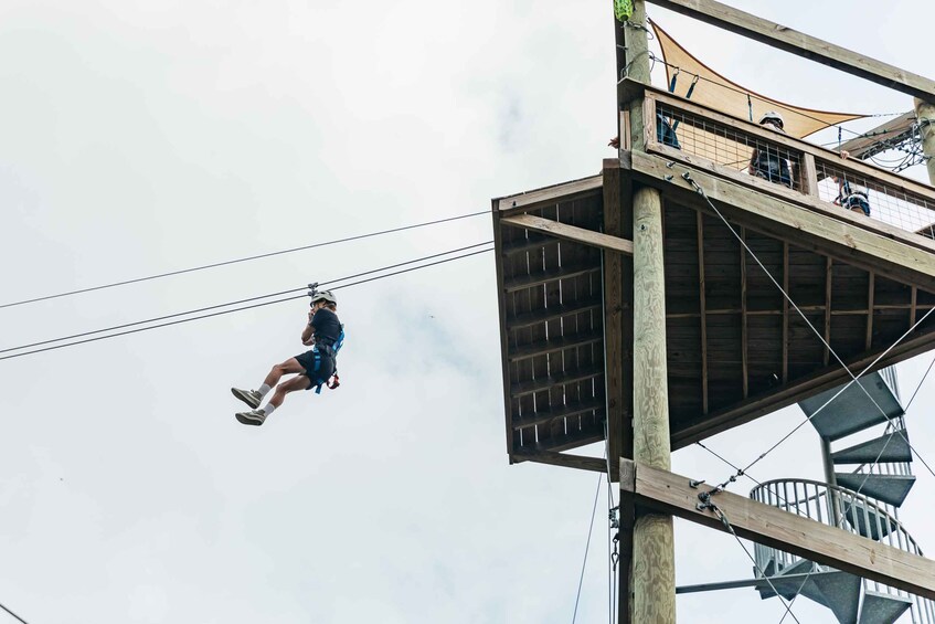 Picture 12 for Activity New Orleans: Swamp Zipline Tour