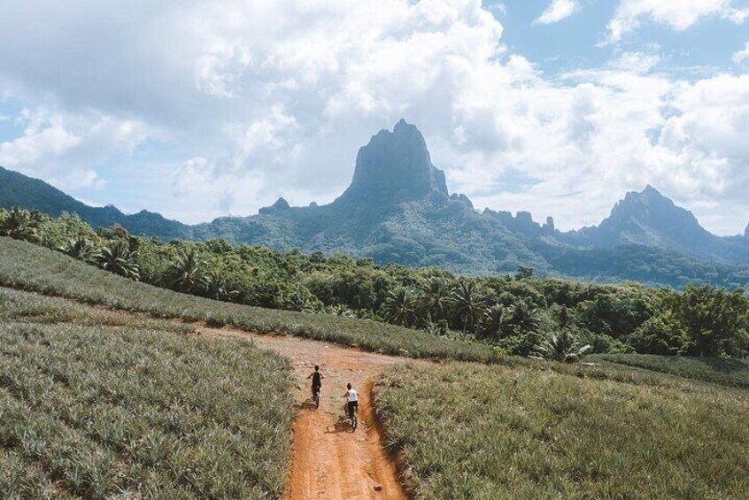 Moorea E-Bike Adventures offers you a new and exclusive experience on Moorea