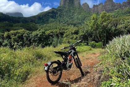 Unique excursion to Moorea on a 100% electric motorbike