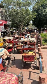 Chandni chowk: Food Walk tour