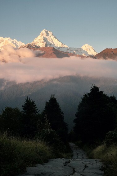 Picture 4 for Activity Ghorepani Poonhill Trek