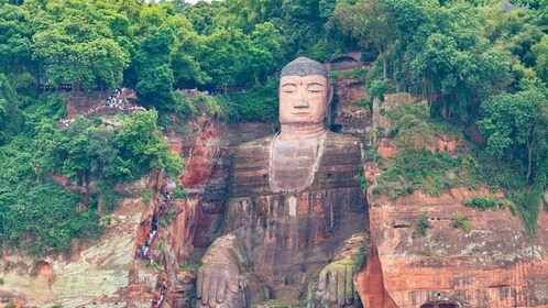 1-Day tour：Discovering Pandas & the Majestic Giant Buddha