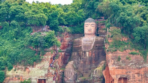 1-Day tour：Discovering Pandas & the Majestic Giant Buddha