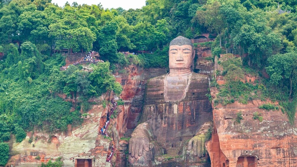 1-Day tour：Discovering Pandas & the Majestic Giant Buddha