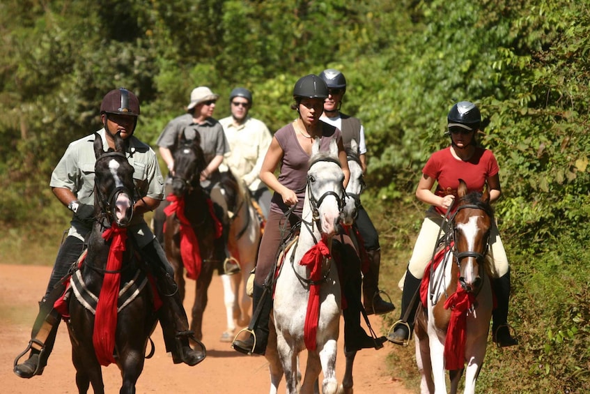 Picture 2 for Activity Half Day Horse Riding in Dambulla