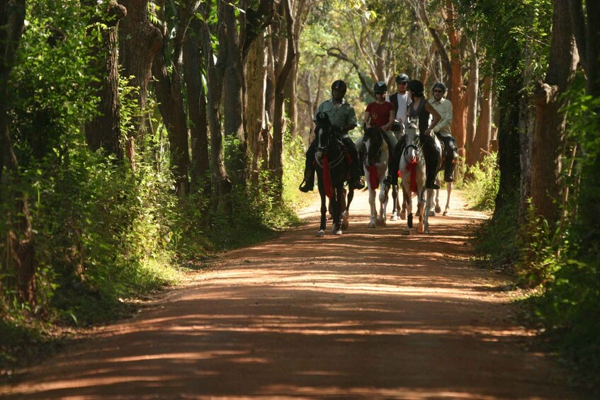 Picture 4 for Activity Half Day Horse Riding in Dambulla