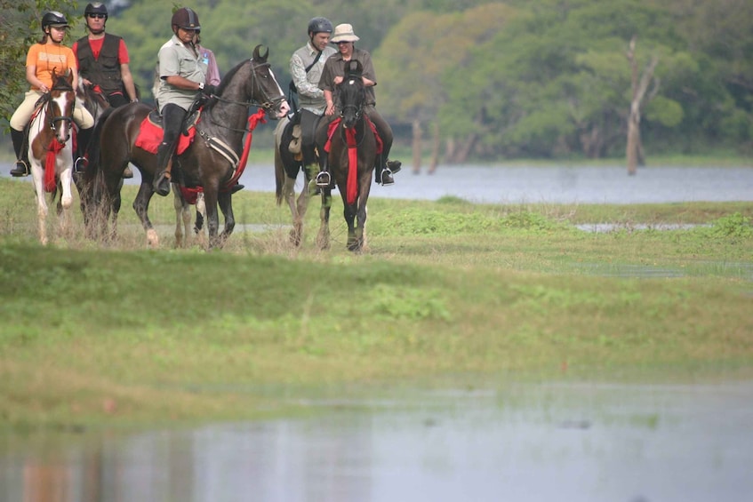 Picture 3 for Activity Half Day Horse Riding in Dambulla