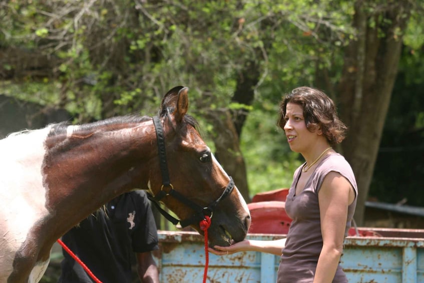 Picture 5 for Activity Half Day Horse Riding in Dambulla