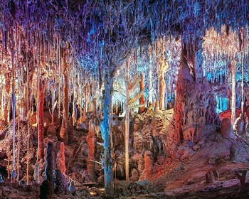 Mallorca: Dinosaurland and Caves of Hams Combined Ticket