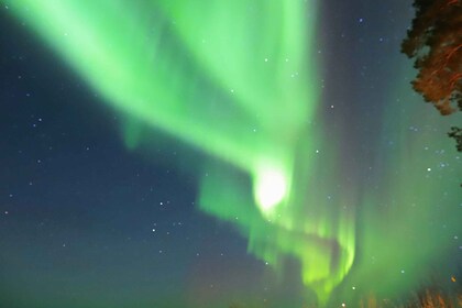 Desde Rovaniemi: excursión a la aurora boreal a orillas del lago de Laponia