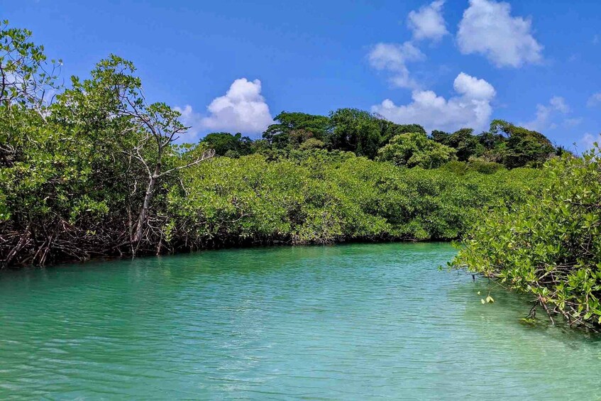 Picture 9 for Activity From Panama City: Caribbean Island Hopping & Portobelo Fort