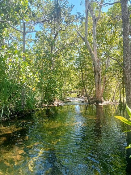 Picture 2 for Activity The best Litchfield Tour and the best Crocodile Cruise VIP