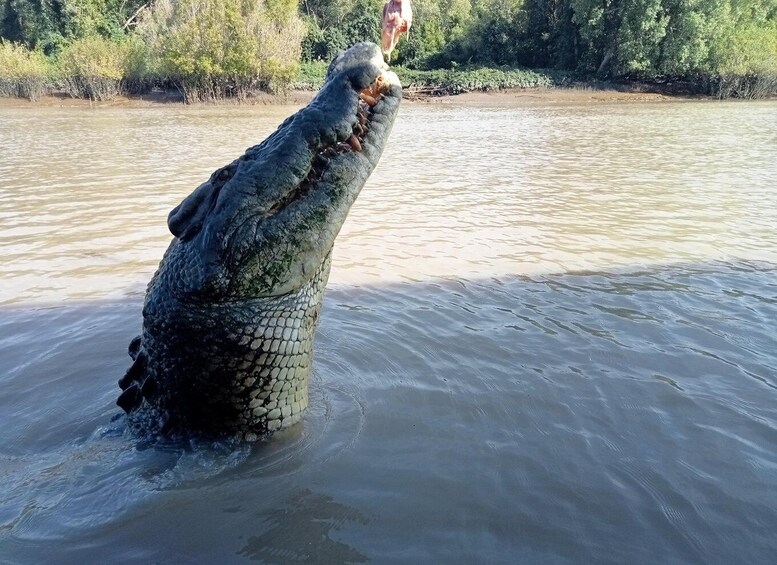 The best Litchfield Tour and the best Crocodile Cruise VIP