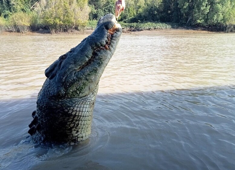 The best Litchfield Tour and the best Crocodile Cruise VIP