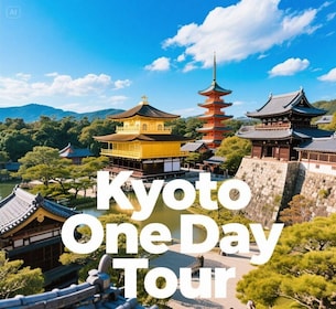 京都：可定制的私人旅游，含酒店接送