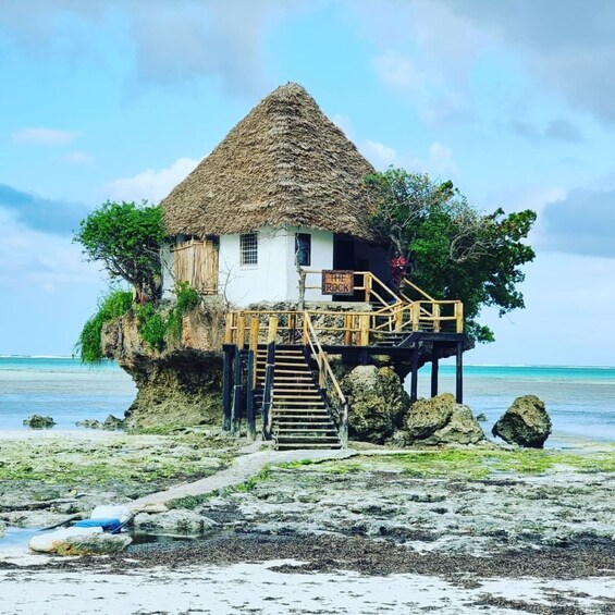 Picture 10 for Activity Jozani Forest, Blue Lagoon, Starfish, The Rock, Paje Beach